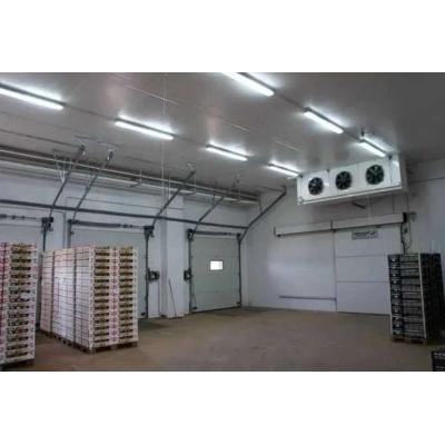 Холодильна камера Тривалого зберігання яєць (встановлення під ключ)